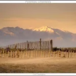 Βίλα Malona, 7 Km De La Sorède